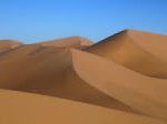 novela de suspense the dune
